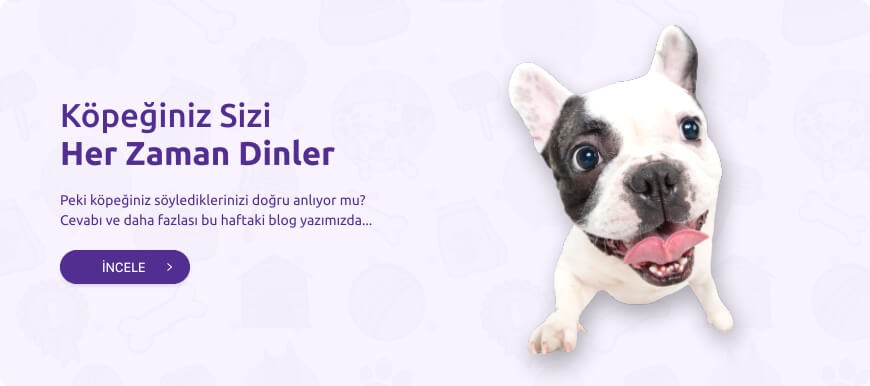 Blog Banner